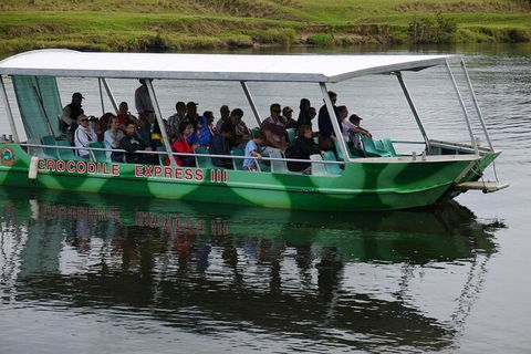 Daintree River Cruise - Surfers Paradise Gold Coast 2