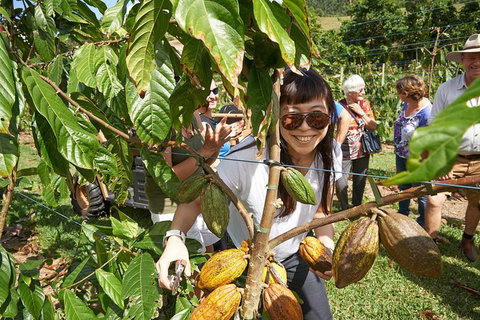 Charley\'s Chocolate Factory Tour, Mission Beach Including Aussie Farm Lunch - Surfers Paradise Gold Coast 1
