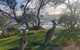 Full-Day Tour To North Stradbroke Island From Brisbane - thumb 9