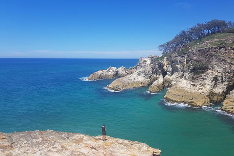 Full-Day Tour To North Stradbroke Island From Brisbane - Surfers Paradise Gold Coast 2