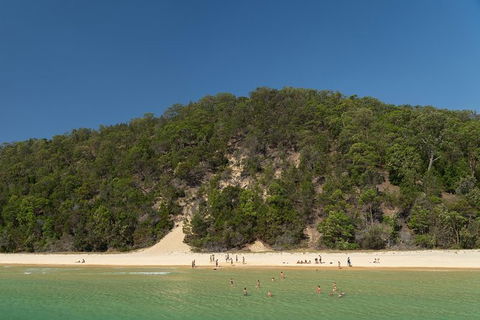 All Inclusive Dolphin And Tangalooma Wrecks Cruise Departing Gold Coast - Surfers Paradise Gold Coast 3