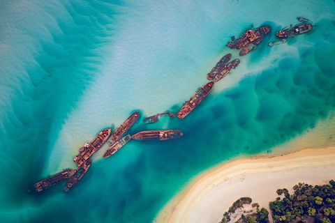 All Inclusive Dolphin And Tangalooma Wrecks Cruise Departing Gold Coast - Surfers Paradise Gold Coast 6