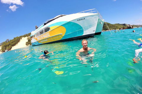 All Inclusive Dolphin And Tangalooma Wrecks Cruise Departing Gold Coast - Surfers Paradise Gold Coast 2