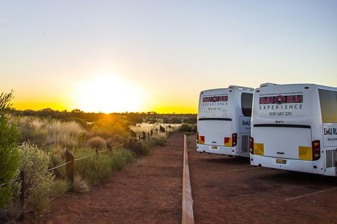 Uluru And Kata Tjuta Experience With BBQ Dinner - Surfers Paradise Gold Coast 4