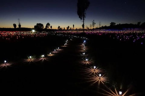 Uluru Field Of Light Sunrise Tour - Surfers Paradise Gold Coast 2