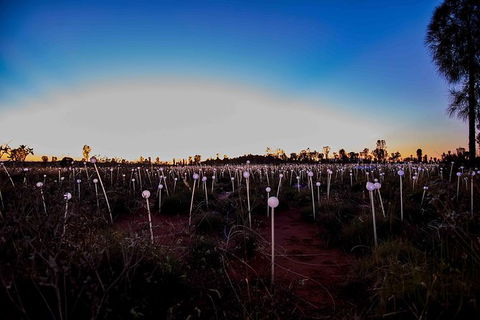 Uluru Field Of Light Sunrise Tour - Surfers Paradise Gold Coast 8