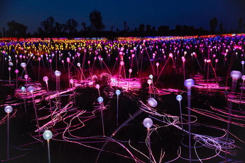 Uluru Field Of Light Sunrise Tour - Surfers Paradise Gold Coast 13