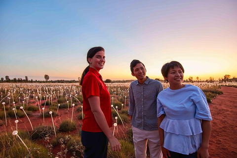 Uluru Field Of Light Sunrise Tour - Surfers Paradise Gold Coast 11