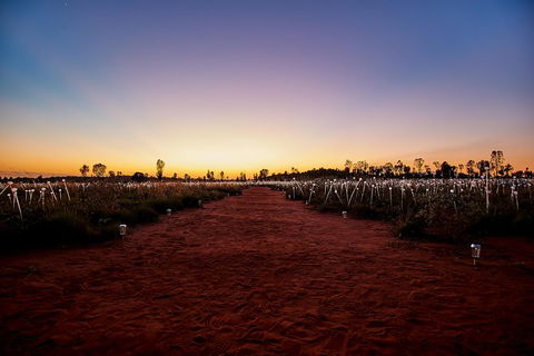 Uluru Field Of Light Sunrise Tour - Surfers Paradise Gold Coast 14