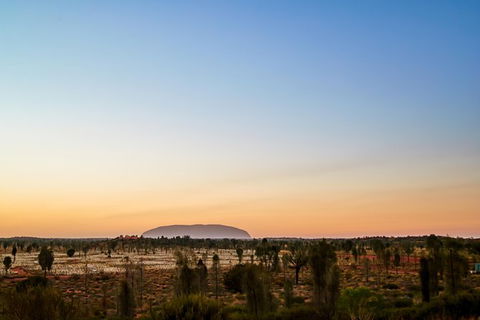 Uluru Field Of Light Sunrise Tour - Surfers Paradise Gold Coast 12