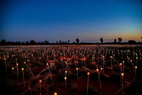 Uluru Field Of Light Sunrise Tour - Surfers Paradise Gold Coast 7