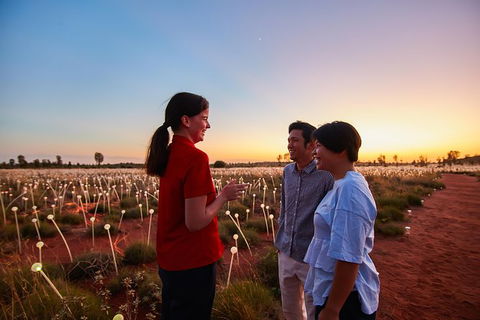 Uluru Field Of Light Sunrise Tour - Surfers Paradise Gold Coast 9