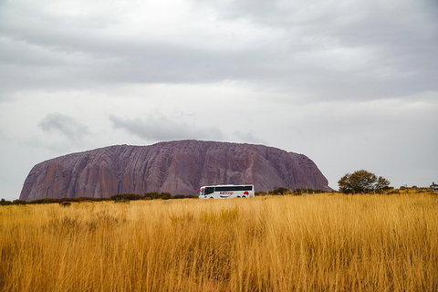 Alice Springs To Uluru (Ayers Rock) One Way Shuttle - Surfers Paradise Gold Coast 3
