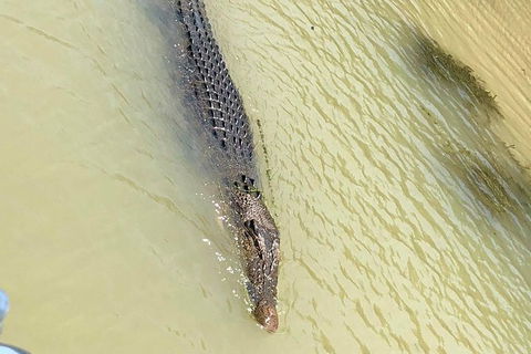 Kakadu National Park Scenic Flight & Cruise - Surfers Paradise Gold Coast 11
