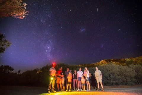 Alice Springs Desert Park Nocturnal Tour - Surfers Paradise Gold Coast 1