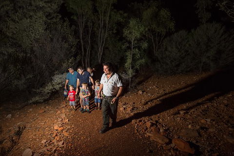 Alice Springs Desert Park Nocturnal Tour - Surfers Paradise Gold Coast 6