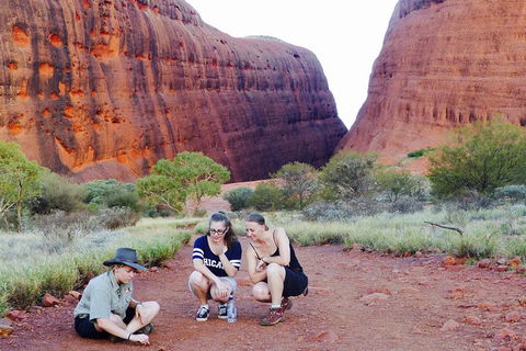 Afternoon Kata Tjuta Small Group Tour - Surfers Paradise Gold Coast 7