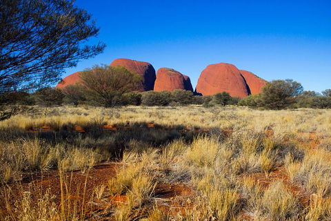 Kata Tjuta Sunrise And Valley Of The Winds Half-Day Trip - Surfers Paradise Gold Coast 11