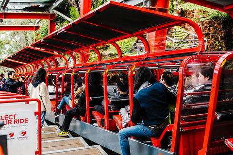 All-Inclusive Blue Mountains Day Trip With River Cruise - Surfers Paradise Gold Coast 7