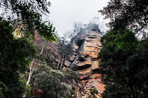 All-Inclusive Blue Mountains Day Trip With River Cruise - Surfers Paradise Gold Coast 3