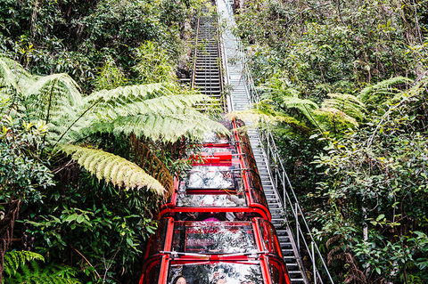 All-Inclusive Blue Mountains Day Trip With River Cruise - Surfers Paradise Gold Coast 6