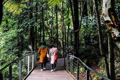 All-Inclusive Blue Mountains Day Trip With River Cruise - Surfers Paradise Gold Coast 10