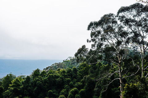All-Inclusive Blue Mountains Day Trip With River Cruise - Surfers Paradise Gold Coast 18