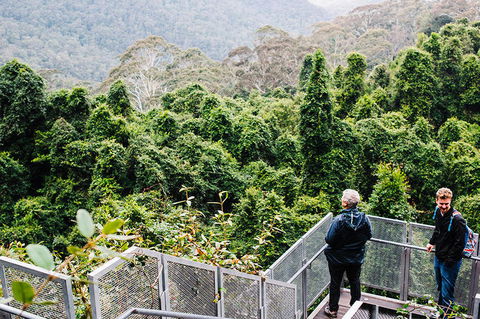 All-Inclusive Blue Mountains Day Trip With River Cruise - Surfers Paradise Gold Coast 2