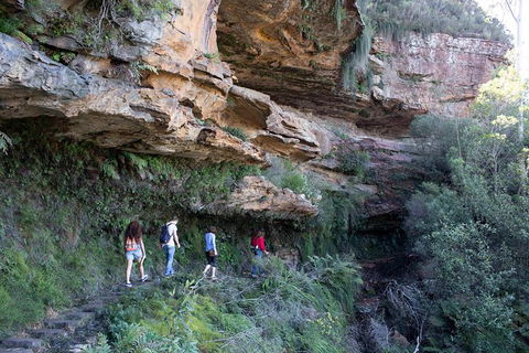 All-Inclusive Blue Mountains Day Trip With River Cruise - Surfers Paradise Gold Coast 38