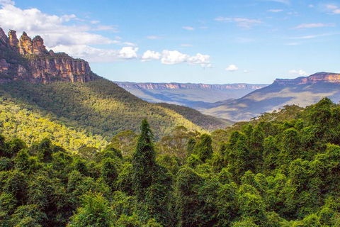All-Inclusive Blue Mountains Day Trip With River Cruise - Surfers Paradise Gold Coast 28