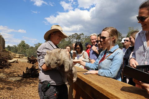 All-Inclusive Blue Mountains Day Trip With River Cruise - Surfers Paradise Gold Coast 27