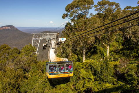 All-Inclusive Blue Mountains Day Trip With River Cruise - Surfers Paradise Gold Coast 39