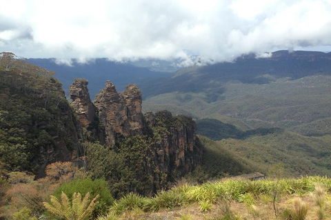 All-Inclusive Blue Mountains Tour In A Luxury Mercedes Sprinter - Surfers Paradise Gold Coast 11