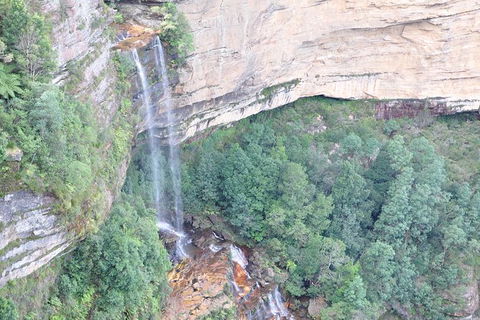 All-Inclusive Blue Mountains Tour In A Luxury Mercedes Sprinter - Surfers Paradise Gold Coast 17