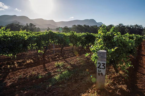 Scenic Hunter Valley Winery Tour With Boutique Wineries & Local Cheese - Surfers Paradise Gold Coast 9
