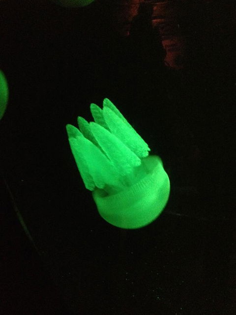 SEA LIFE Sydney Aquarium Entrance Ticket - Surfers Paradise Gold Coast 2