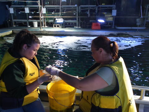 SEA LIFE Sydney Aquarium Entrance Ticket - Surfers Paradise Gold Coast 14