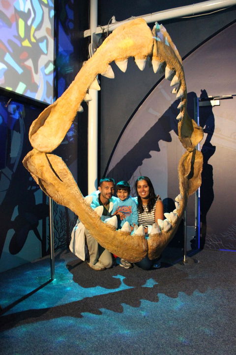 SEA LIFE Sydney Aquarium Entrance Ticket - Surfers Paradise Gold Coast 6