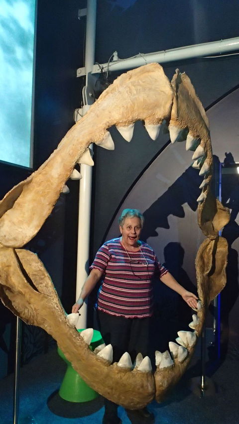 SEA LIFE Sydney Aquarium Entrance Ticket - Surfers Paradise Gold Coast 3