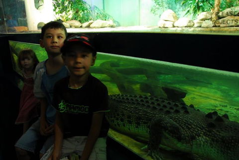 SEA LIFE Sydney Aquarium Entrance Ticket - Surfers Paradise Gold Coast 22