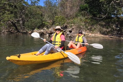Paddle In Paradise - 4 Hours Double Kayak Hire - Surfers Paradise Gold Coast 6