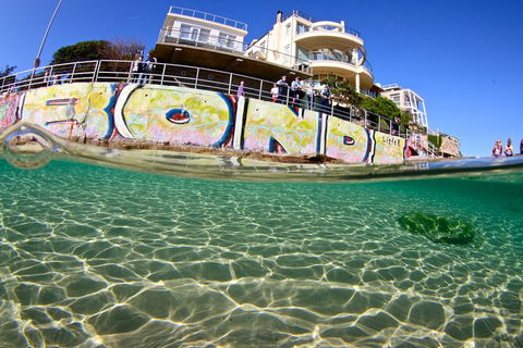 Bondi Like A Local: Half-Day Sightseeing Tour Including Surf Lesson - Surfers Paradise Gold Coast 5