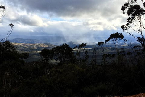 PJ Blue Mountains Trails - Surfers Paradise Gold Coast 1