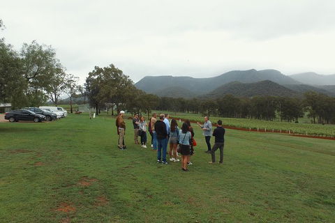 Hunter Valley Private Tour Including Wine, Chocolate, Cheese, Vodka, Gin Tasting - Surfers Paradise Gold Coast 10