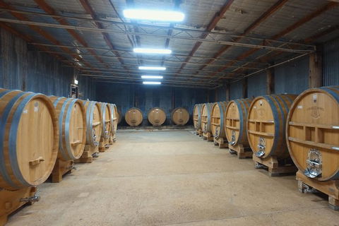 Hunter Valley Private Tour Including Wine, Chocolate, Cheese, Vodka, Gin Tasting - Surfers Paradise Gold Coast 6