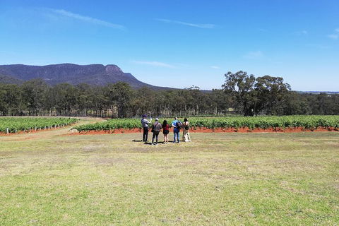 Hunter Valley Private Tour Including Wine, Chocolate, Cheese, Vodka, Gin Tasting - Surfers Paradise Gold Coast 4