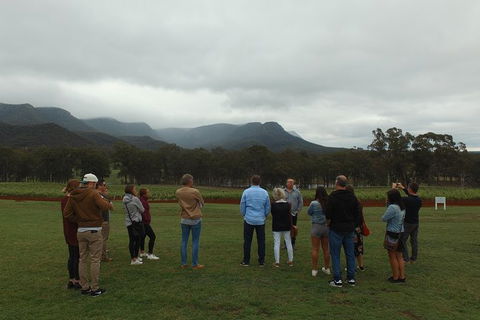 Hunter Valley Private Tour Including Wine, Chocolate, Cheese, Vodka, Gin Tasting - Surfers Paradise Gold Coast 3