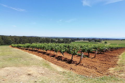 Hunter Valley Private Tour Including Wine, Chocolate, Cheese, Vodka, Gin Tasting - Surfers Paradise Gold Coast 16