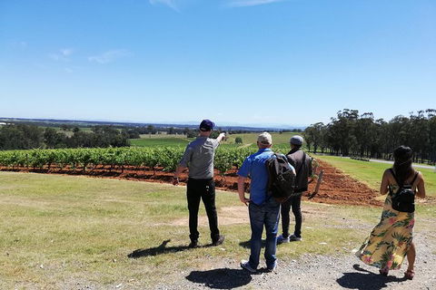 Hunter Valley Private Tour Including Wine, Chocolate, Cheese, Vodka, Gin Tasting - Surfers Paradise Gold Coast 13
