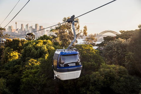 Australia Multi-City Attractions Pass - Surfers Paradise Gold Coast 5